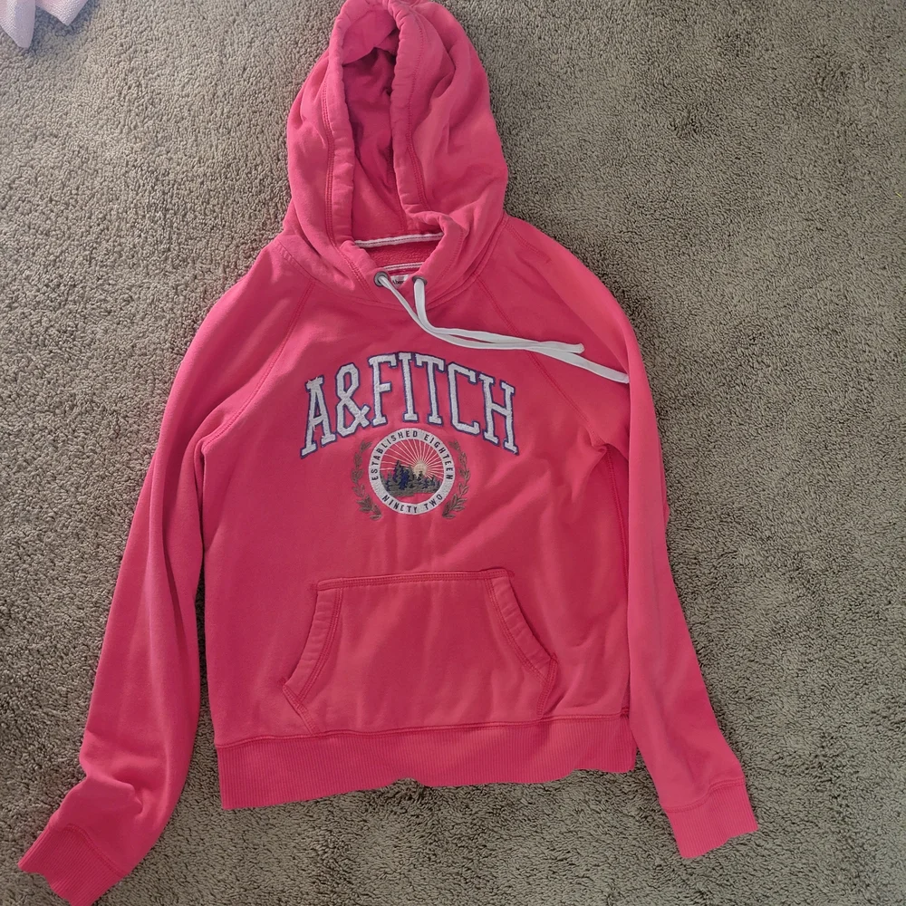 Abercrombie & Fitch Coral Hoodie Sweater - Picture 1 of 3